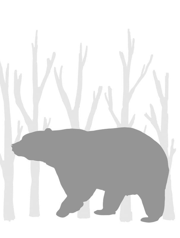 URSO SILHUETA INFANTIL