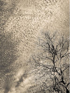 CÉU PINCELADO