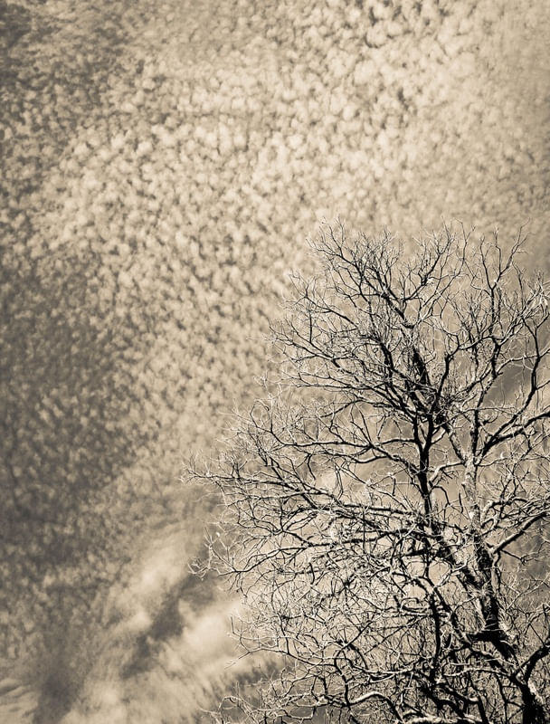CÉU PINCELADO