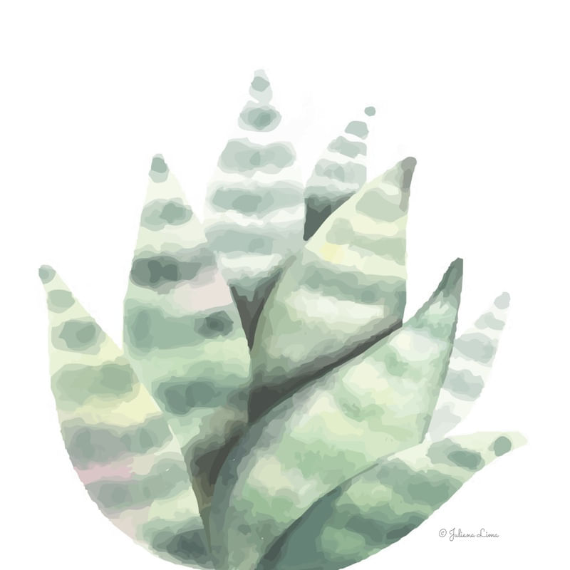 DECORAÇÃO SUCULENTA AQUARELA