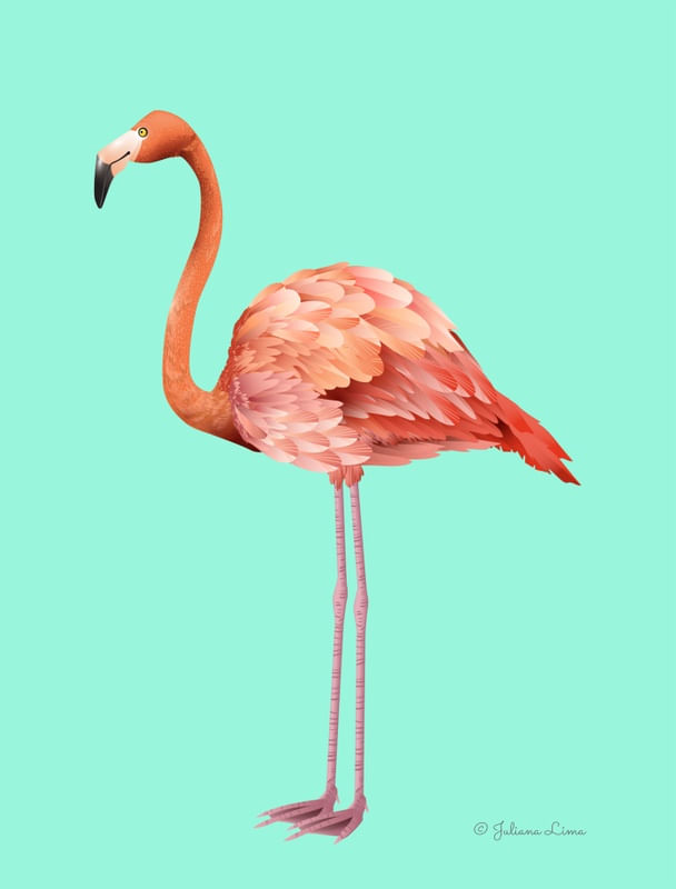 DECORAÇÃO FLAMINGO TROPICAL