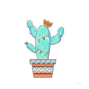 DECORAÇÃO CACTO ÉTNICO