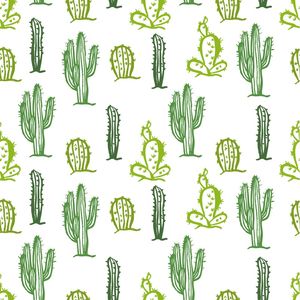 CACTOS LINDOS