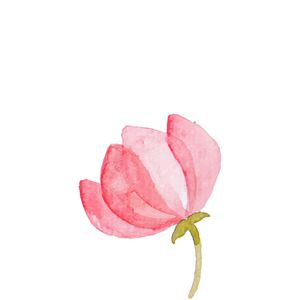 FLOR MINIMALISTA