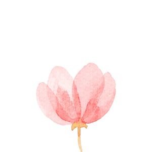 FLOR MINIMALISTA 2