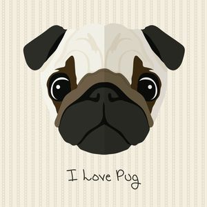 I LOVE PUG