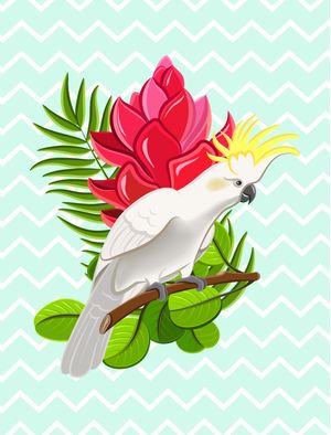 CACATUA TROPICAL