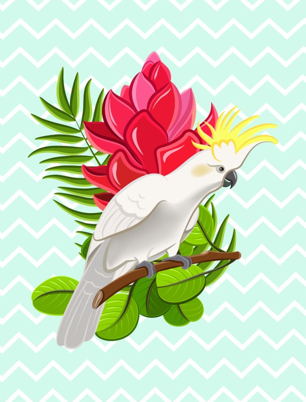CACATUA TROPICAL