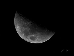 LUA NOVA