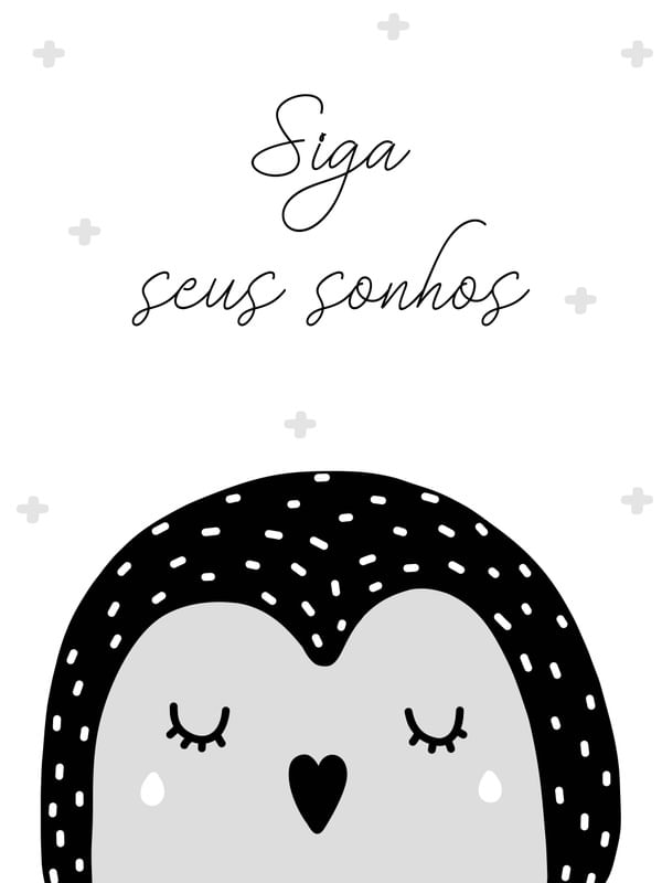PINGUIM SIGA SEUS SONHOS ESCANDI