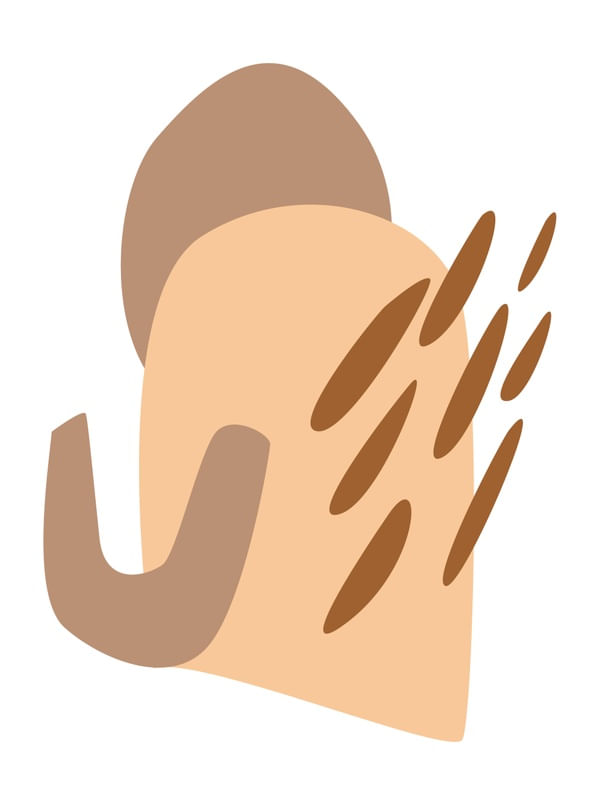 ÉTNICO SHAPES