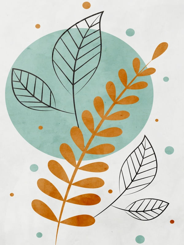 ABSTRATO PLANTAS E FORMAS 01