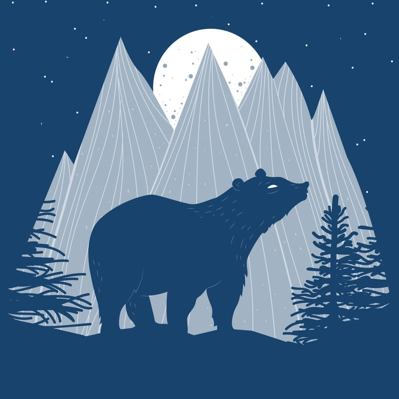 URSO E MONTANHAS