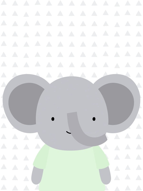 ELEFANTE CAMISETA