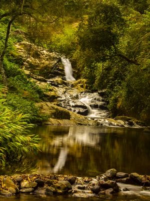 CACHOEIRA NA FLORESTA 2