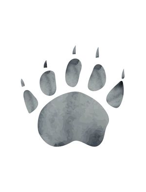 PEGADA DE URSO AQUARELA