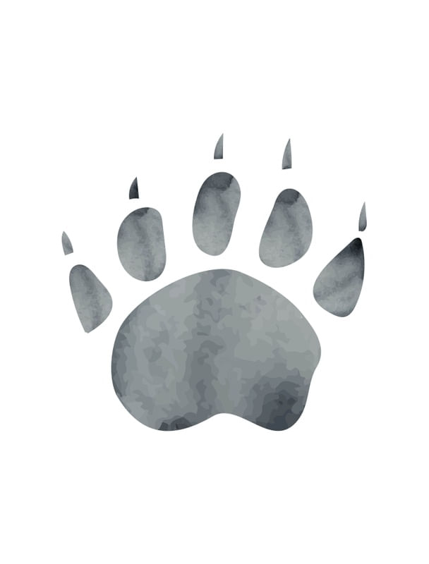 PEGADA DE URSO AQUARELA