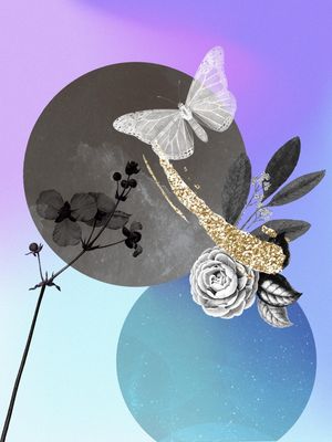 GEOMETRIC BUTTERFLY
