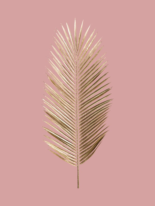 ROSÊ AND GOLD LEAF