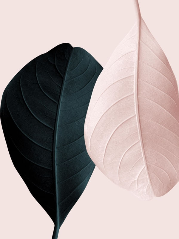 MINIMALIST LEAVES 1