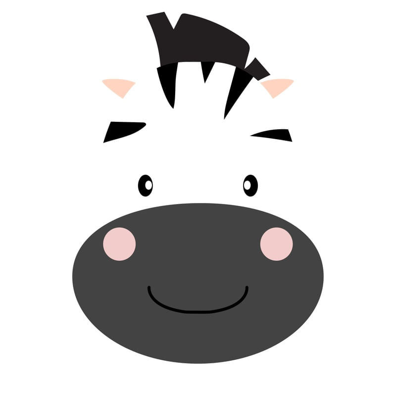 ZEBRINHA FACE