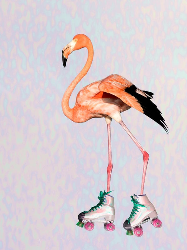 FLAMINGO DE PATINS VINTAGE