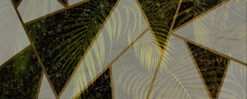 ARTE SHAPES AND LEAVES