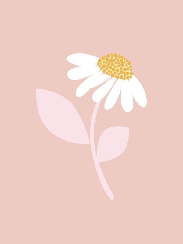 ARTE MARGARIDA CUTE 1