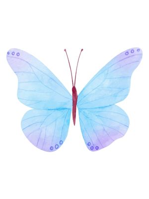 BORBOLETA AQUARELA 1