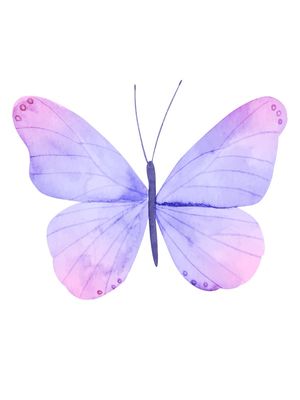 BORBOLETA AQUARELA 2