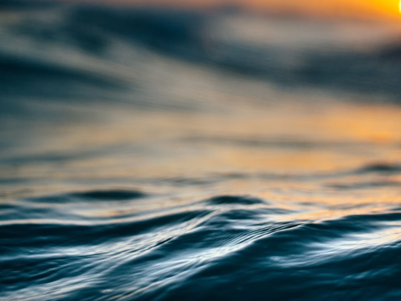 SEA ME
