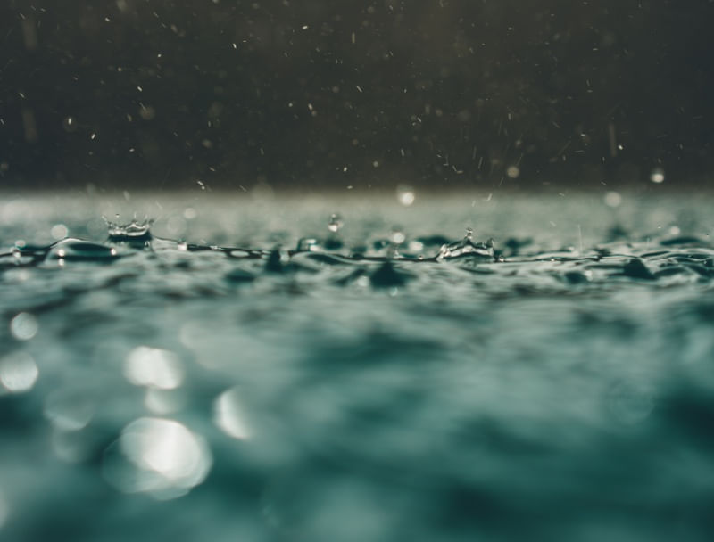 SUMMER RAIN