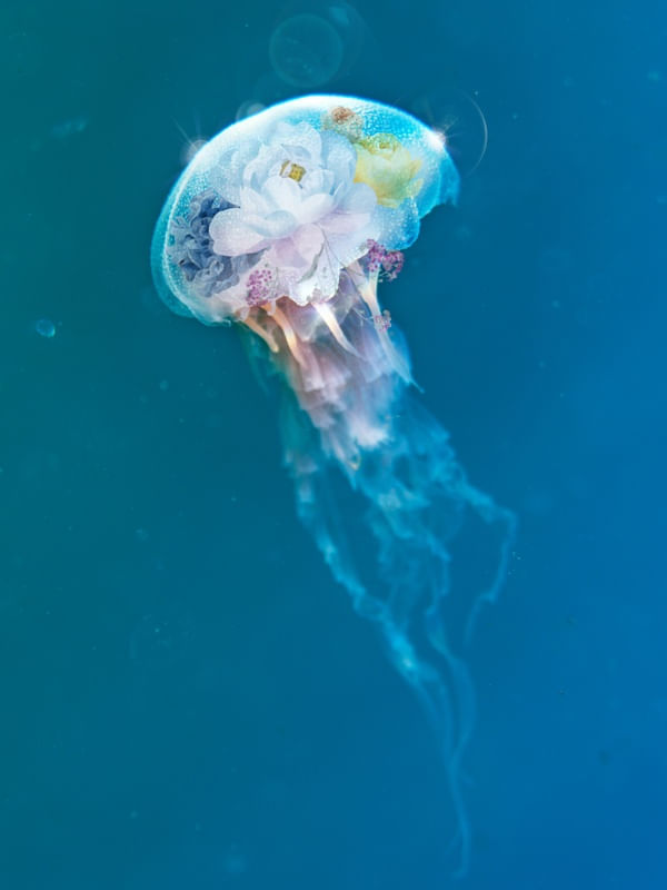 ODALISCA