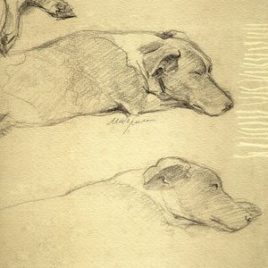 CACHORRO DORMINDO