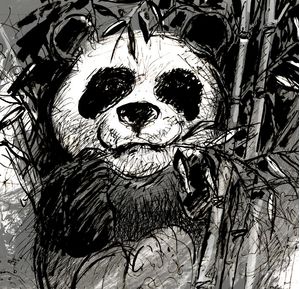SKETCH PANDA