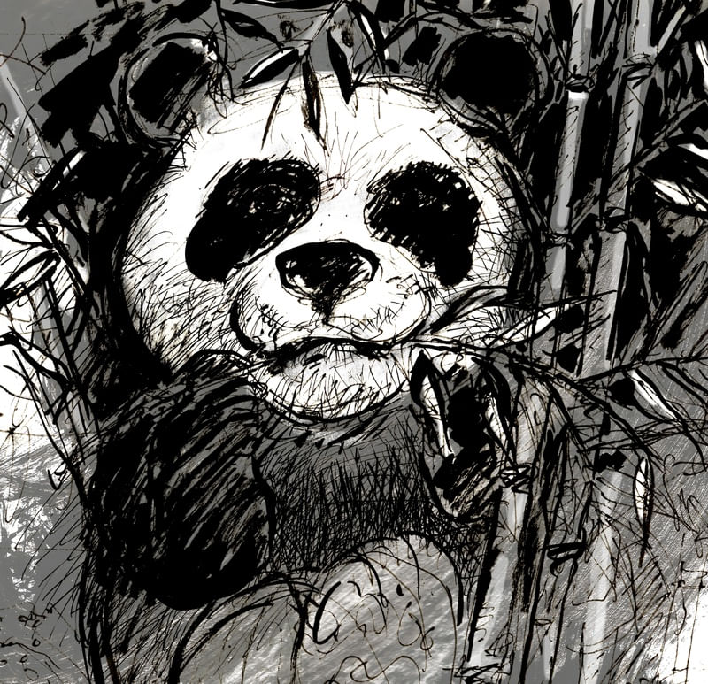 SKETCH PANDA