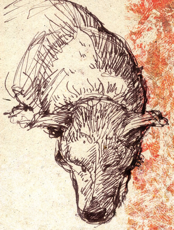 CACHORRO DORMINDO SKETCH1