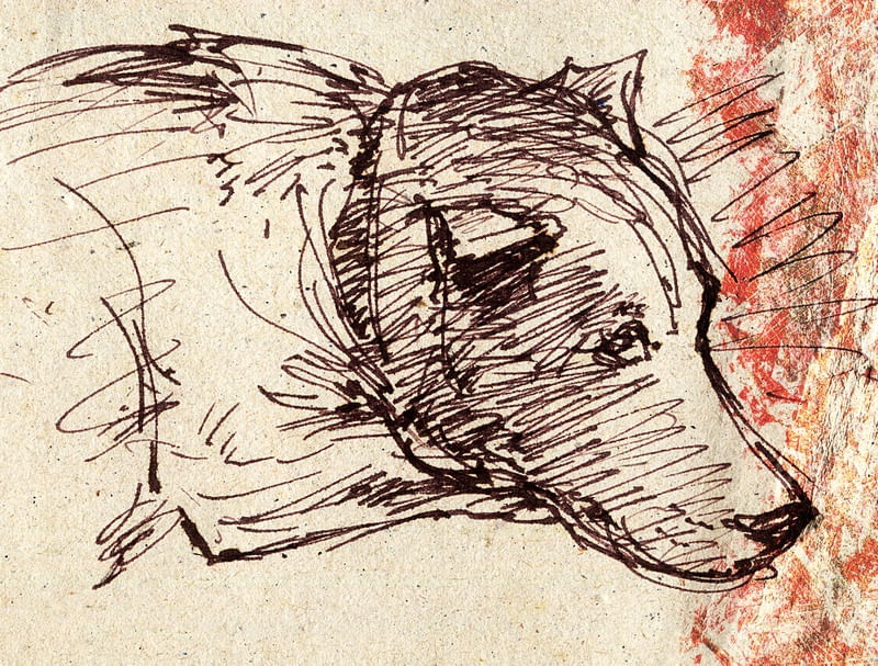 CACHORRO DORMINDO SKETCH2