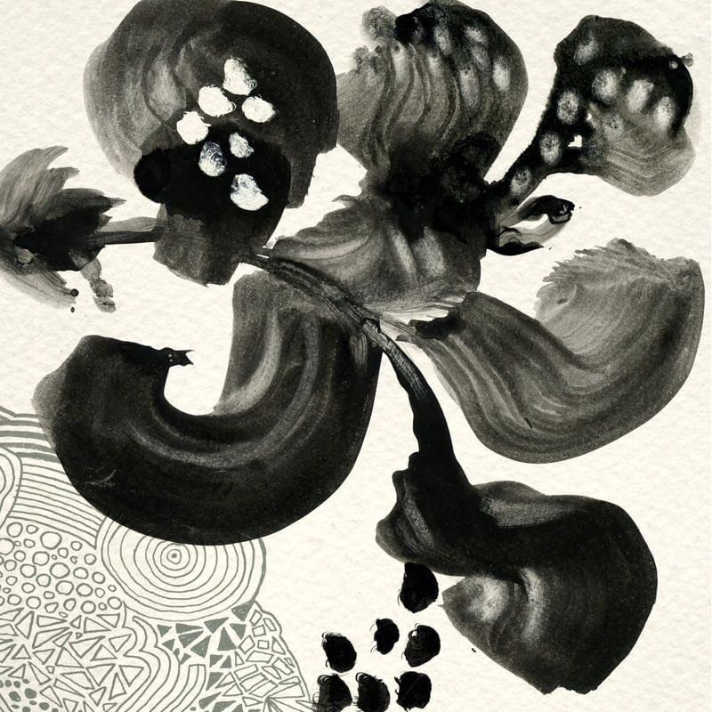 FLORES NEGRAS I