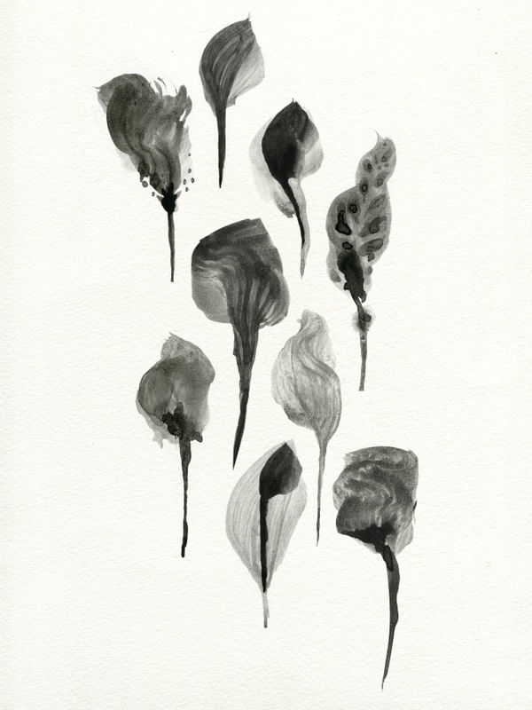 HERBARIUM II