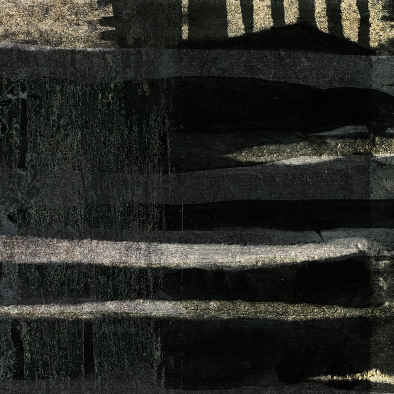 TAPUME VII