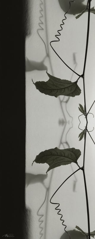 DIÁLOGO COM AS SOMBRAS V
