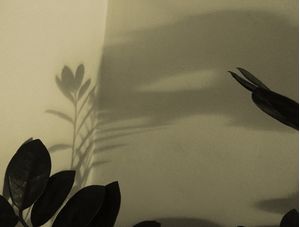 DIALOGANDO COM AS SOMBRAS II