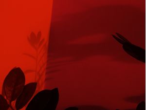 DIALOGANDO COM AS SOMBRAS III
