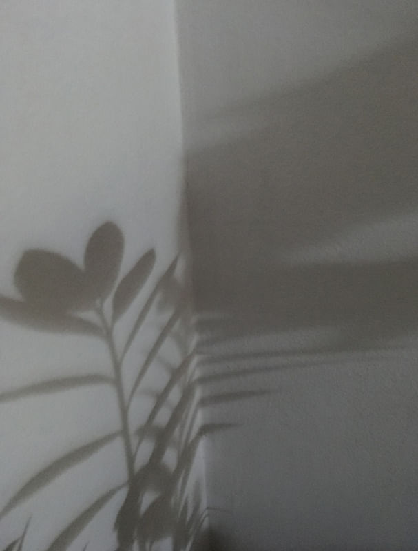 DIALOGANDO COM AS SOMBRAS IV