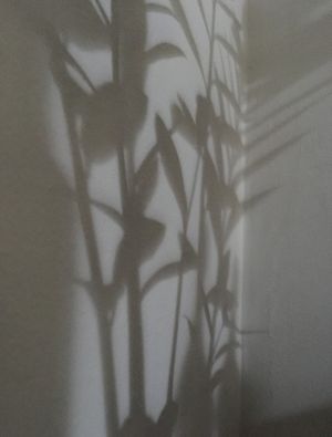 DIALOGANDO COM AS SOMBRAS VII