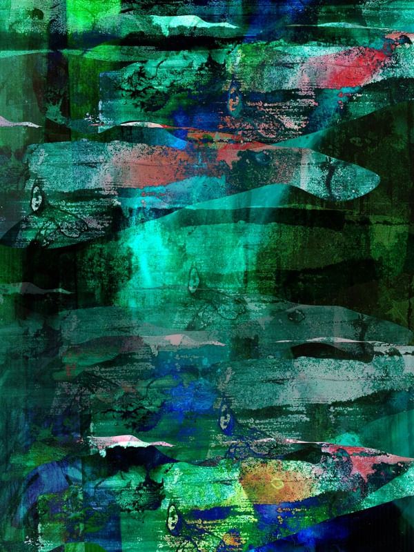 RAIO X ECOLÓGICO VIII