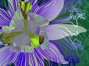 PASSIFLORA I