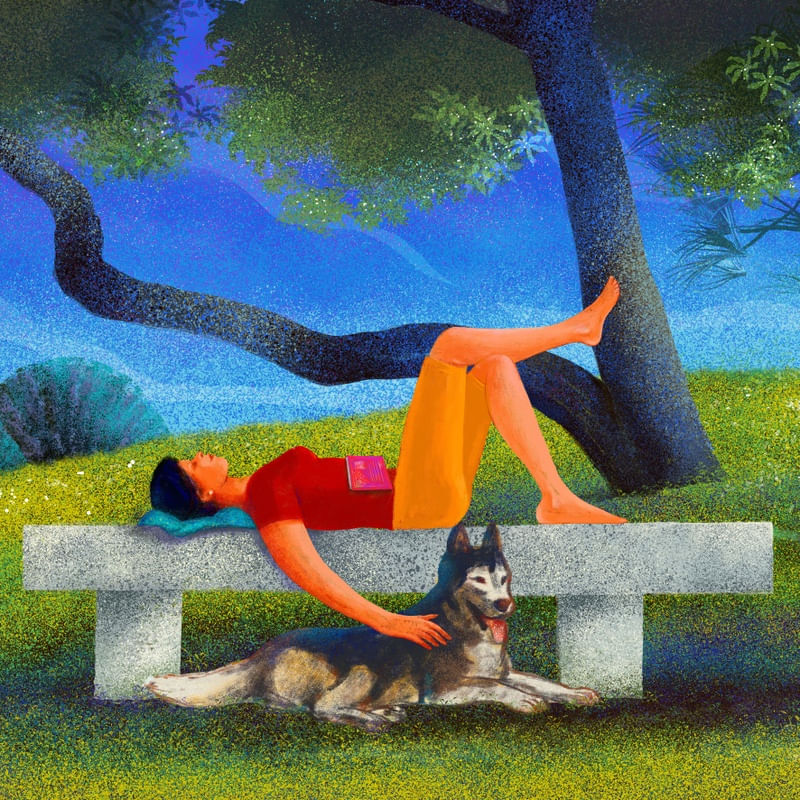 DOMINGO NO PARQUE COM PET II