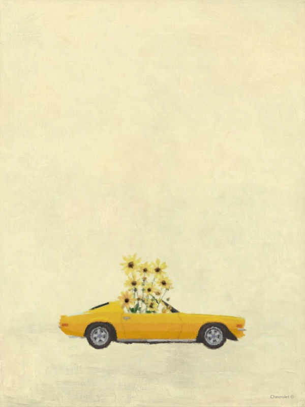 CAMARO FLORIDO - CHEVROLET 100 ANOS